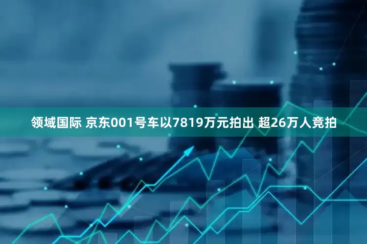 领域国际 京东001号车以7819万元拍出 超26万人竞拍