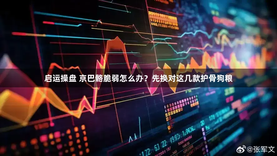 启运操盘 京巴骼脆弱怎么办？先换对这几款护骨狗粮