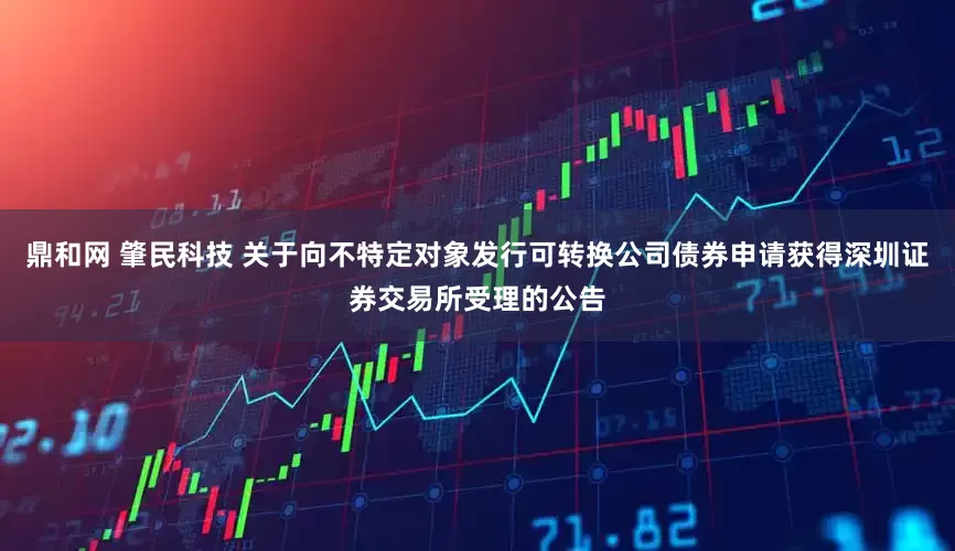 鼎和网 肇民科技 关于向不特定对象发行可转换公司债券申请获得深圳证券交易所受理的公告