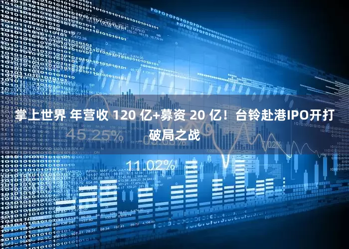 掌上世界 年营收 120 亿+募资 20 亿！台铃赴港IPO开打破局之战